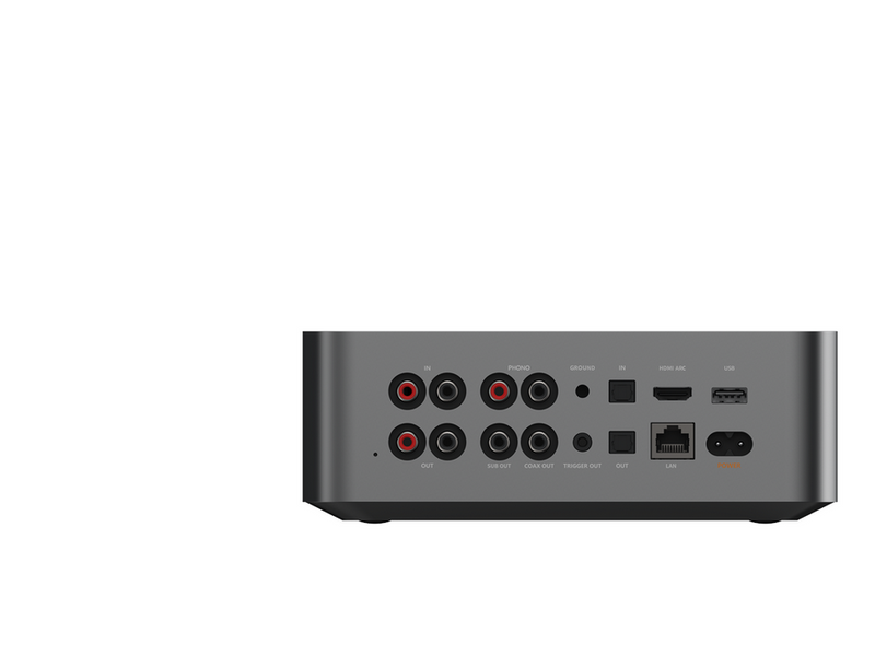 WiiM Ultra - Music Streamer - WiFi - Bluetooth