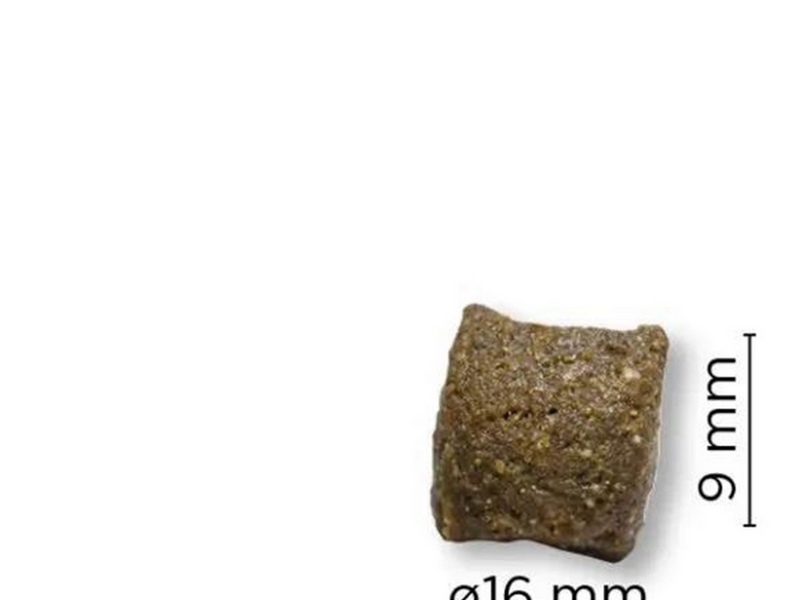 ARION Original High Energy All Breeds 12kg