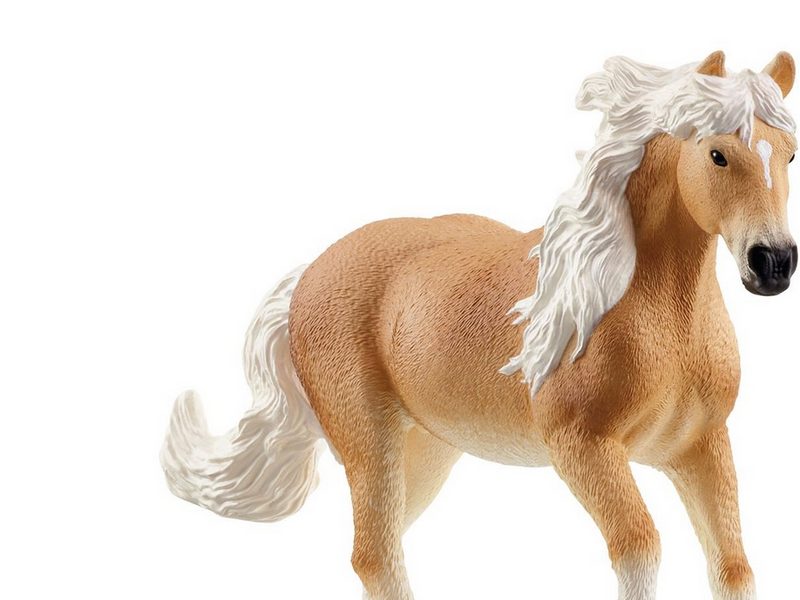 Schleich Reitplatz
