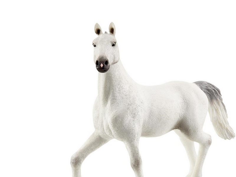 Schleich Reitplatz