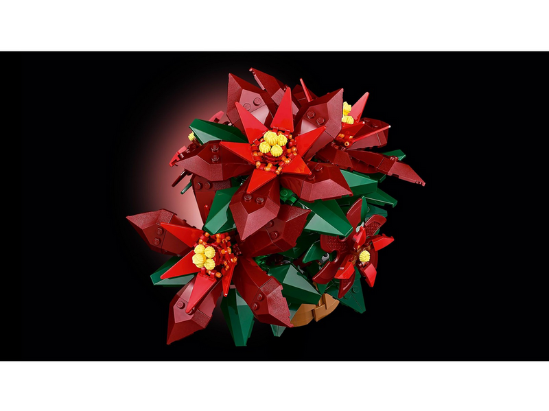 LEGO Botanicals 10370 Weihnachtsstern