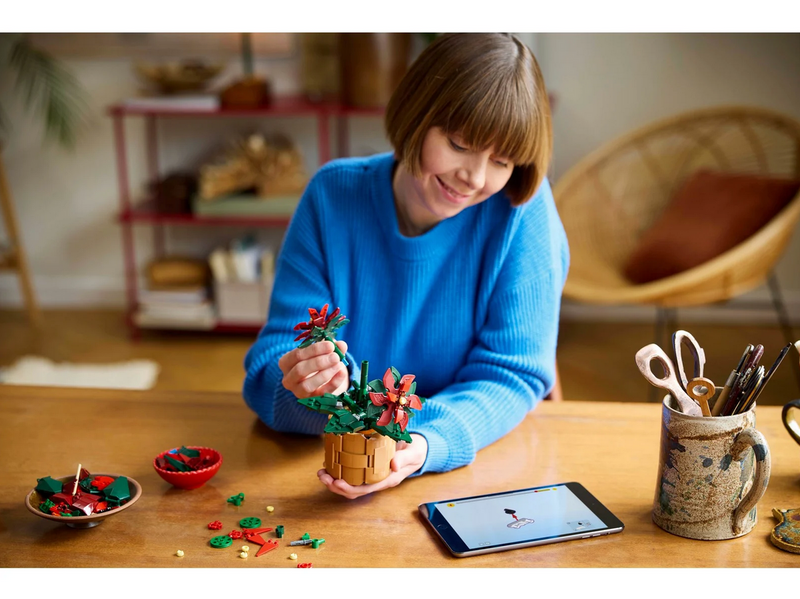 LEGO Botanicals 10370 Weihnachtsstern