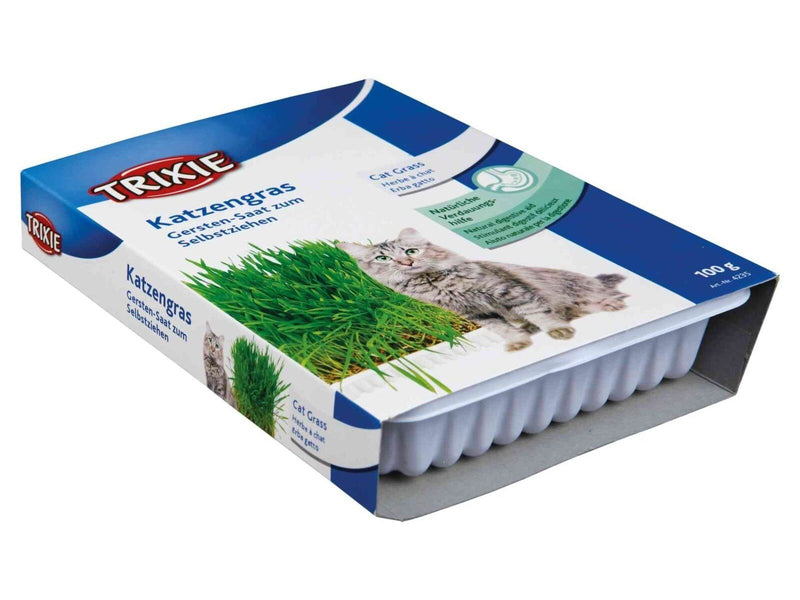 Trixie Katzengras mit Schale 100g