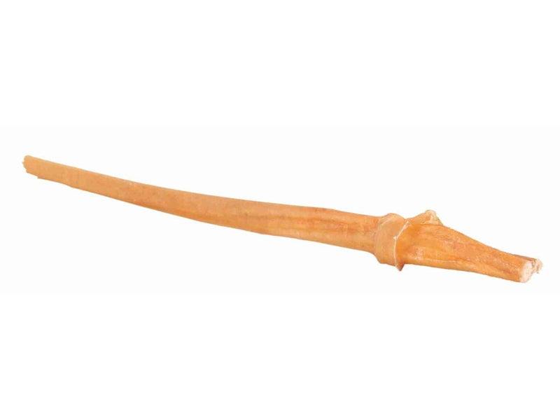 Trixie Bull pizzle dried 70–80cm