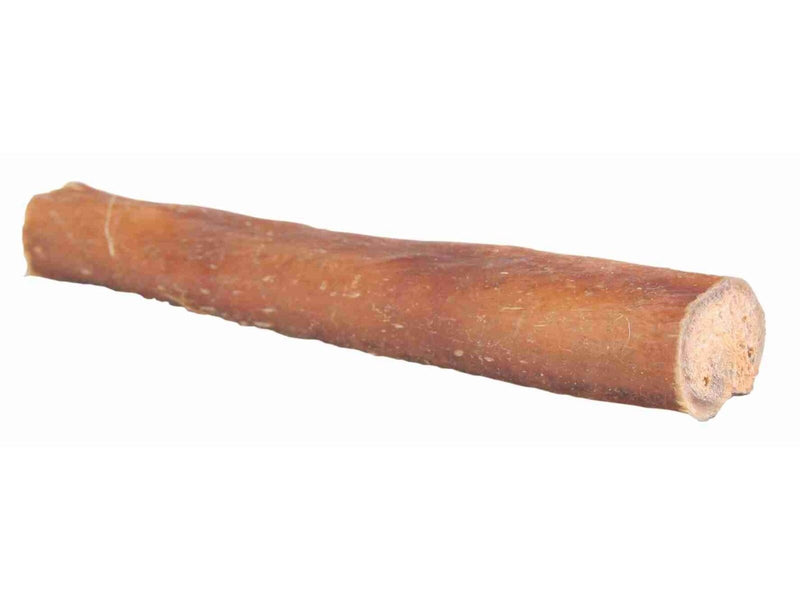 Trixie Bull pizzle dried 70–80cm