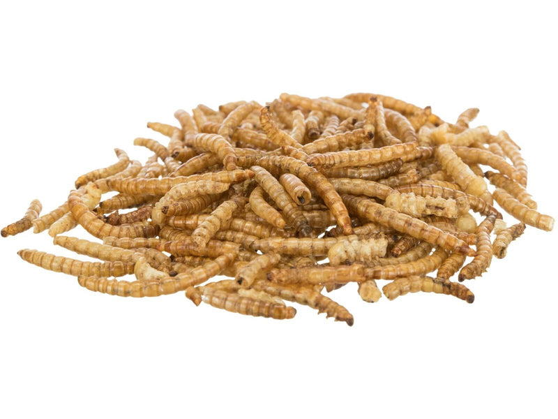 Trixie Dried Mealworms 70g