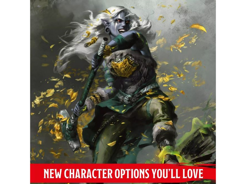 Dungeons & Dragons 2024 Player's Handbook