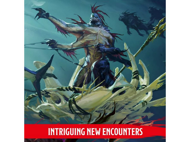 Dungeons & Dragons 2024 Monster Manual