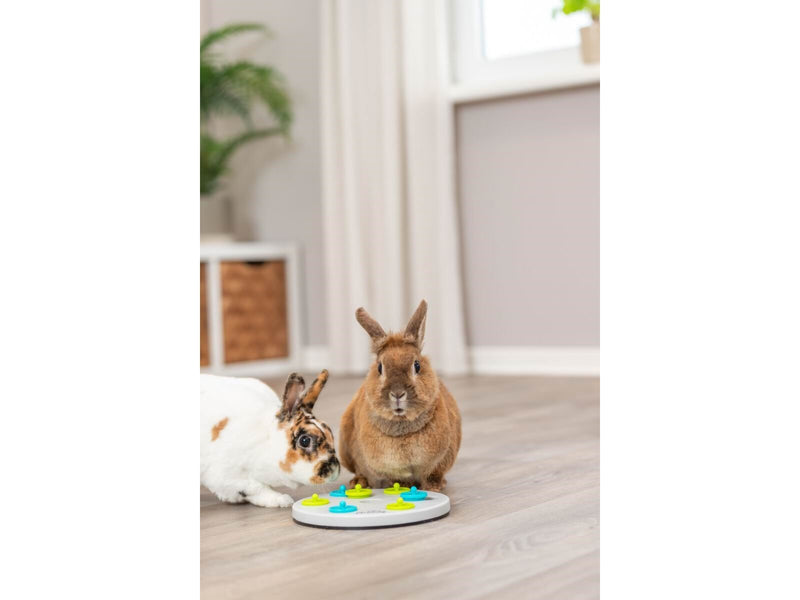 Trixie Snack Board Strategiespiel für Kleintiere 20cm