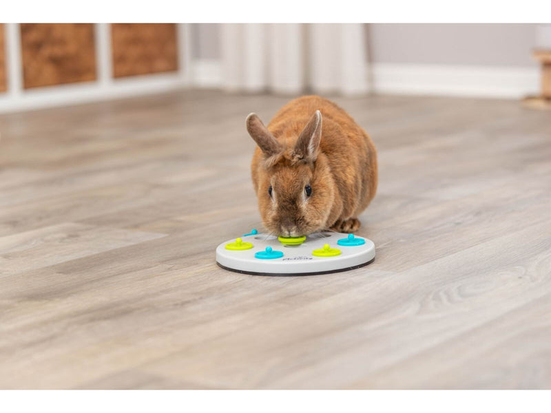 Trixie Snack Board Strategiespiel für Kleintiere 20cm