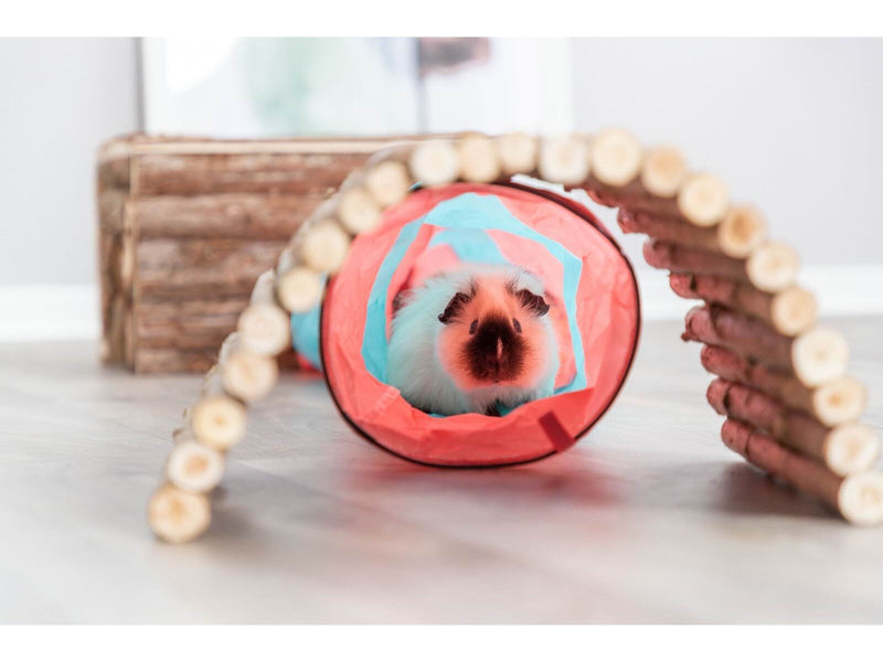Trixie Spieltunnel für Kleintiere Meerschweinchen Zwergkaninchen
