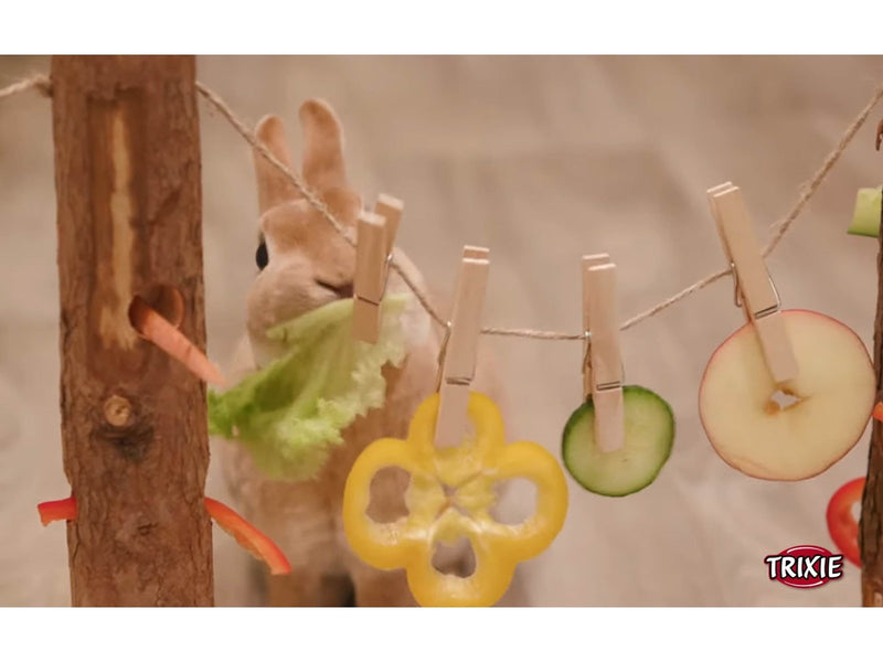 Trixie Duo-Futterbaum aus Rindenholz für Kleintiere