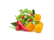 Click & Grow Click and Grow - Smart Garden Refill 9-pack Fruit and Veggie Mix