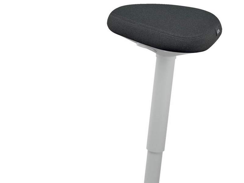 Leitz Ergo Active Stehhhocker mit Komfortsitz, Grau