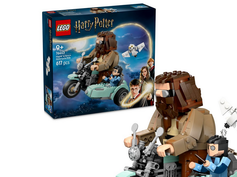 LEGO Harry Potter 76443 Hagrids und Harrys Motorradtour