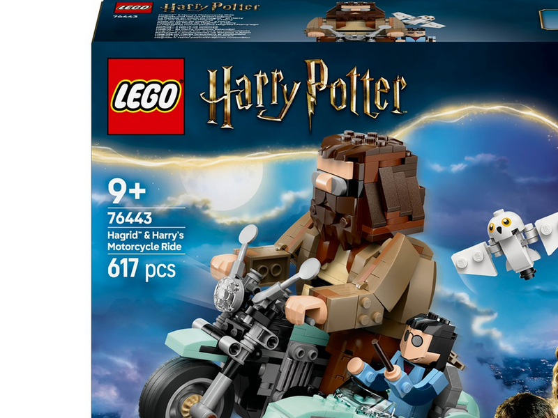LEGO Harry Potter 76443 Hagrids und Harrys Motorradtour