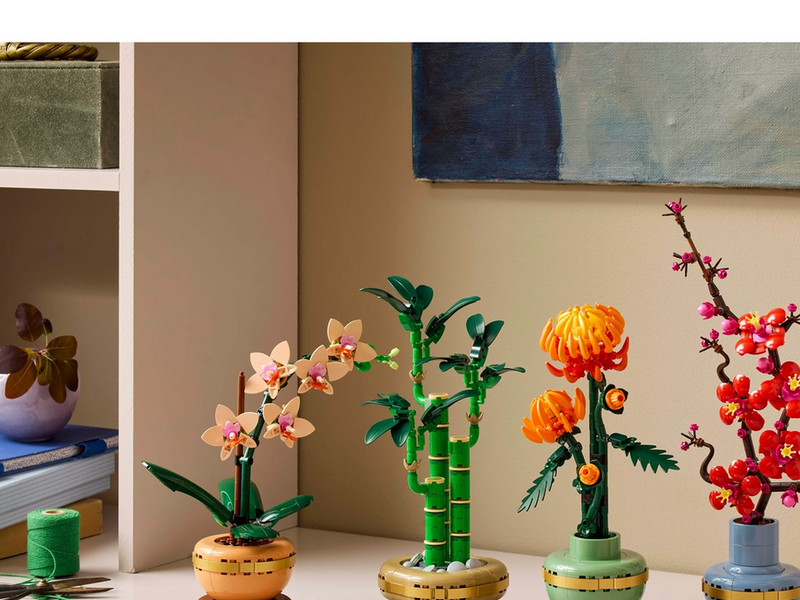 LEGO Botanicals 10344 Glücks-Bambus
