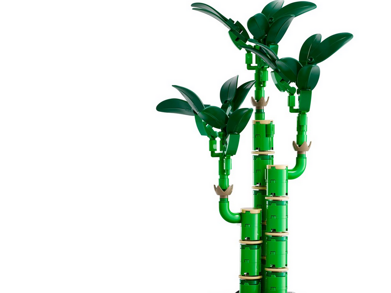 LEGO Botanicals 10344 Glücks-Bambus