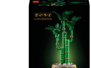 LEGO Botanicals 10344 Glücks-Bambus