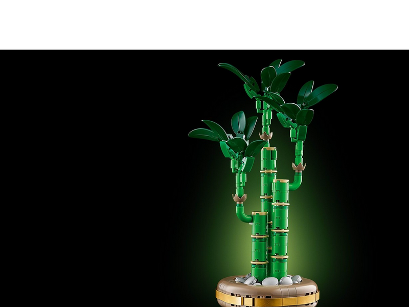 LEGO Botanicals 10344 Glücks-Bambus