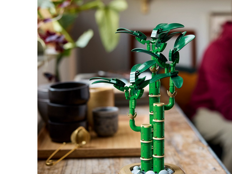 LEGO Botanicals 10344 Glücks-Bambus