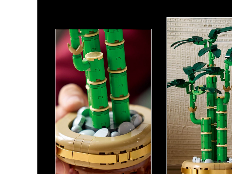 LEGO Botanicals 10344 Glücks-Bambus