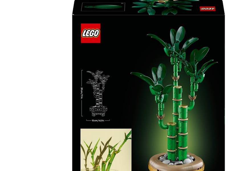 LEGO Botanicals 10344 Glücks-Bambus