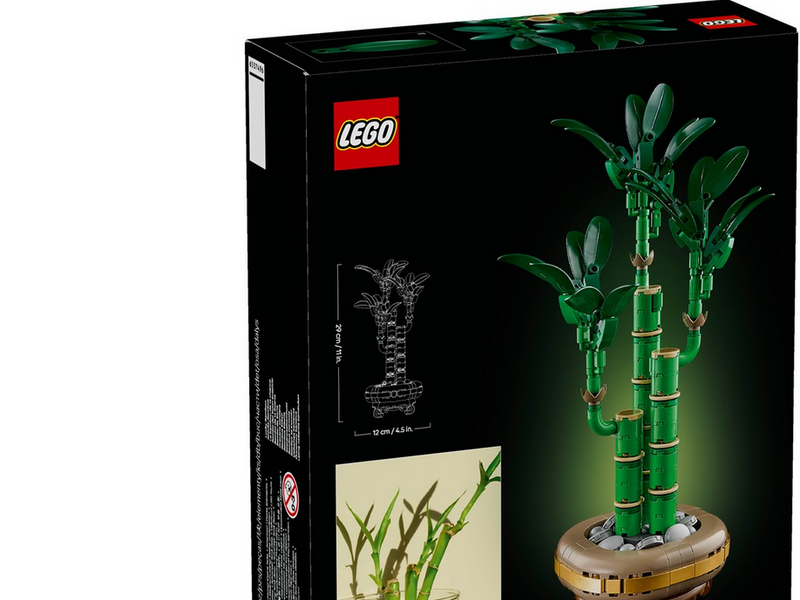 LEGO Botanicals 10344 Glücks-Bambus