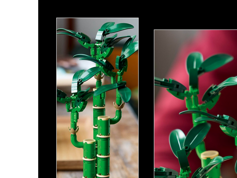 LEGO Botanicals 10344 Glücks-Bambus