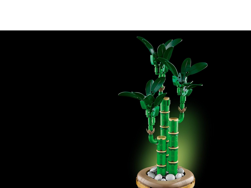 LEGO Botanicals 10344 Glücks-Bambus