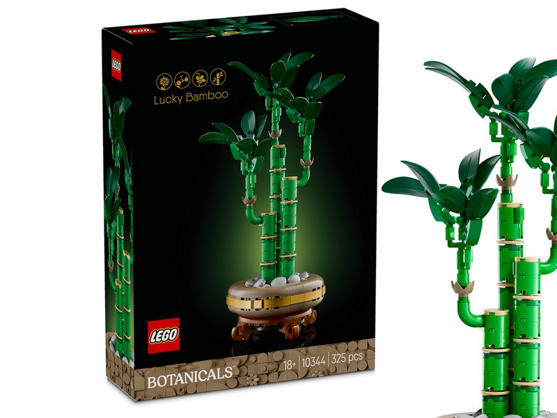 LEGO Botanicals 10344 Glücks-Bambus