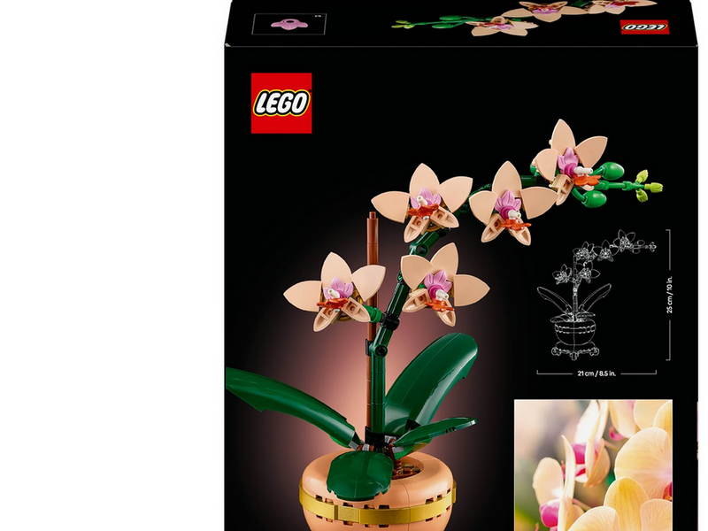 LEGO Botanicals 10343 Mini-Orchidee