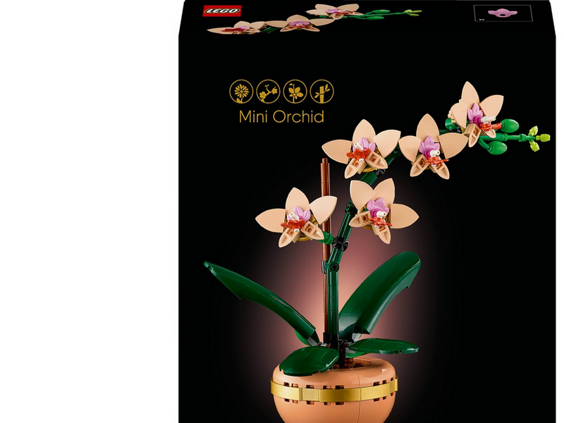 LEGO Botanicals 10343 Mini-Orchidee