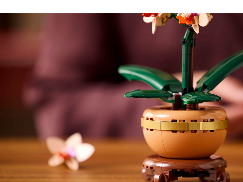 LEGO Botanicals 10343 Mini-Orchidee
