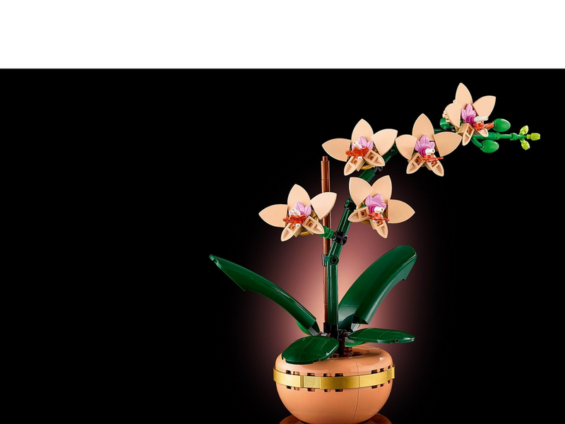 LEGO Botanicals 10343 Mini-Orchidee