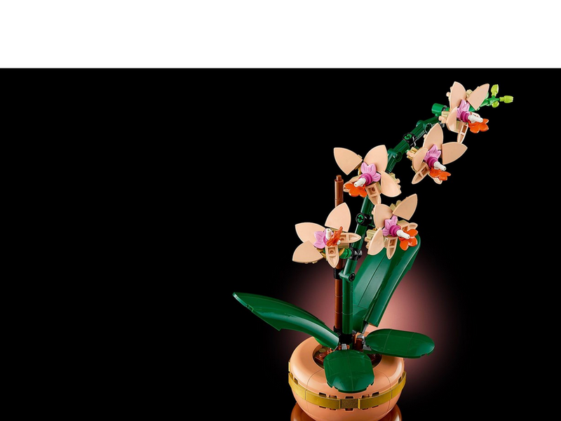 LEGO Botanicals 10343 Mini-Orchidee
