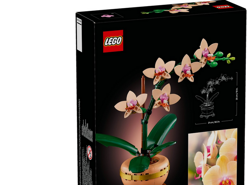 LEGO Botanicals 10343 Mini-Orchidee