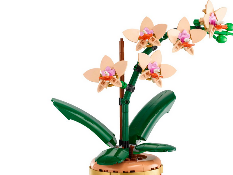 LEGO Botanicals 10343 Mini-Orchidee