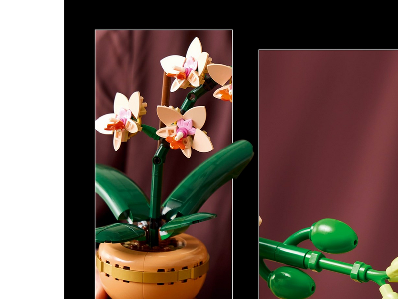 LEGO Botanicals 10343 Mini-Orchidee