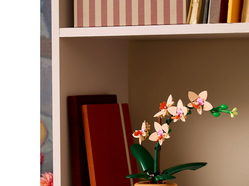 LEGO Botanicals 10343 Mini-Orchidee