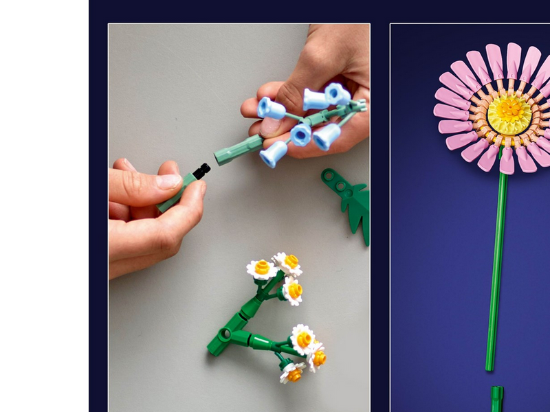 LEGO Botanicals 10347 Kleiner Sommerstrauß