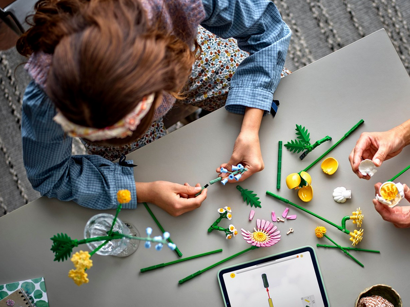 LEGO Botanicals 10347 Kleiner Sommerstrauß
