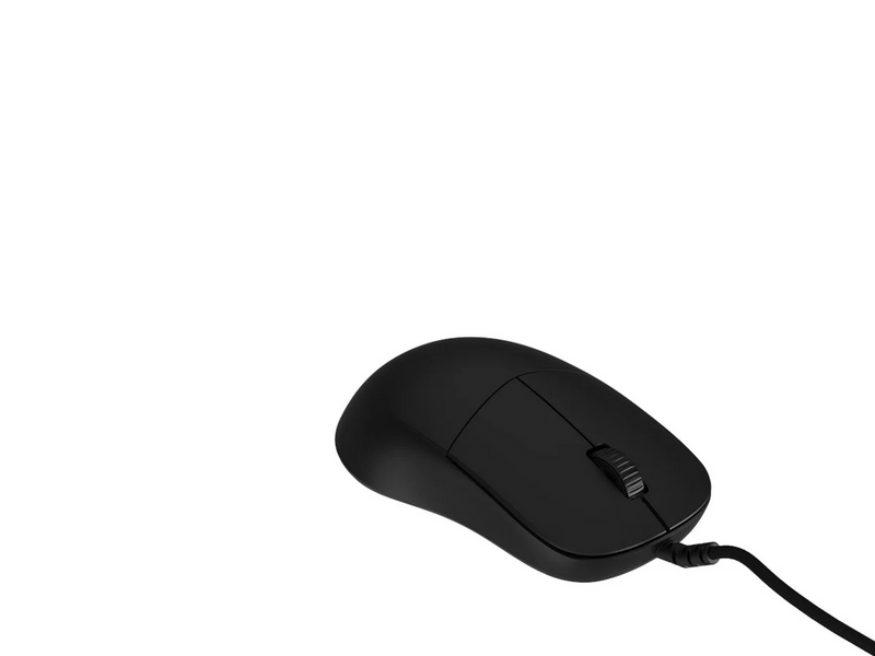 Endgame Gear XM2 8k (v1) - Black - Gaming Maus (Schwarz)