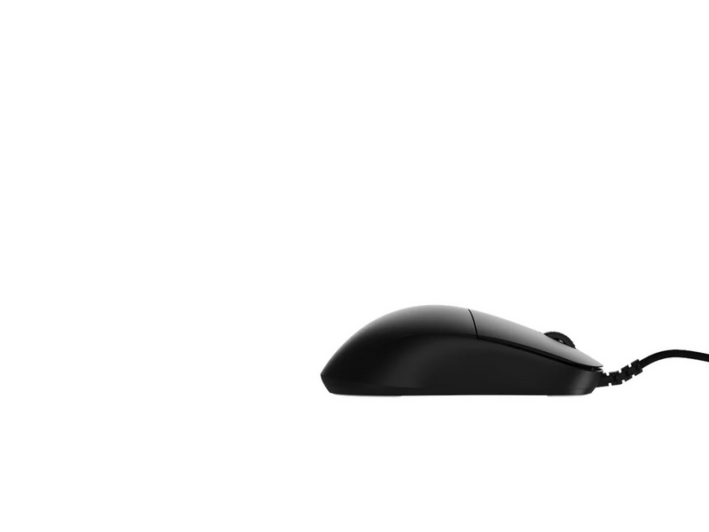 Endgame Gear XM2 8k (v1) - Black - Gaming Maus (Schwarz)