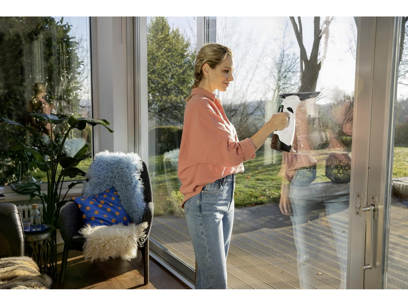 Kärcher WV 5 Plus N Window Vac