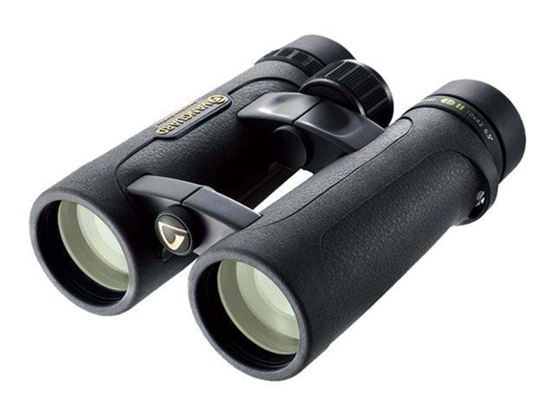 Vanguard Endeavor ED II 1042