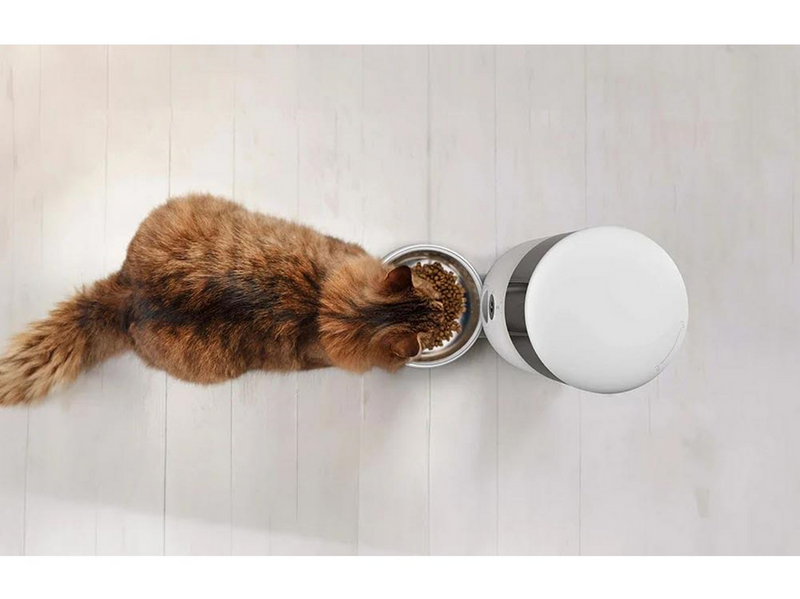 Petoneer NutriVue Smart Pet Food Dispenser with HD Camera
