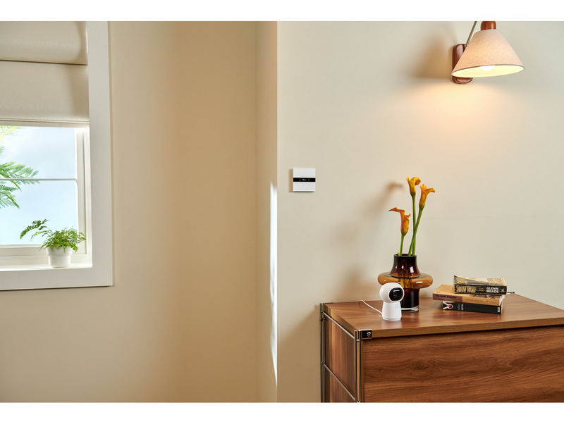 Aqara Display Switch V1