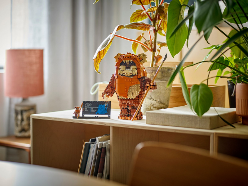 LEGO 75430 Der Ewok Wicket™