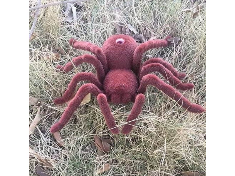Pro Remote Controlled Spider